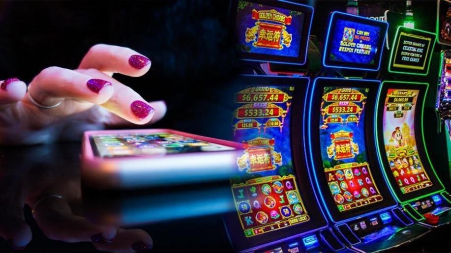 Meja Qiu Qiu live dealer dengan antarmuka modern di koytoto
